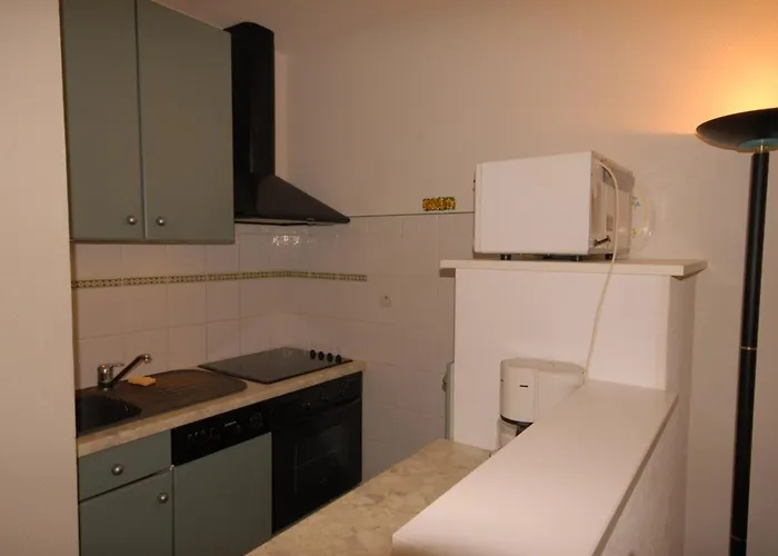 6 Pers A Avec Animaux Admis - Fr-1-859-28 * Eaux-Bonnes